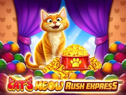 Cat's Meow Rush Express Game Preview
